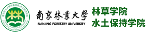 2026年世界杯官网入口